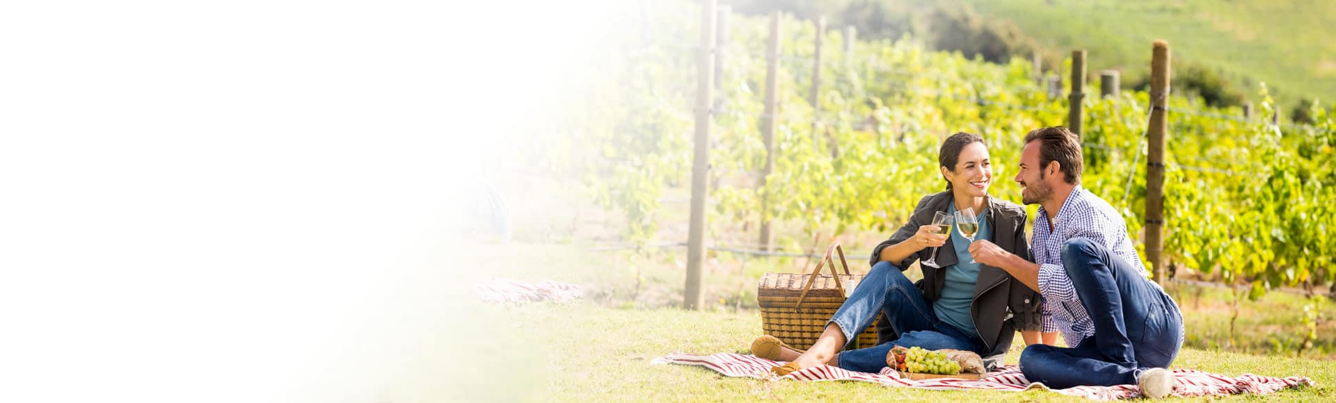 land programs in new zealand, vineyards