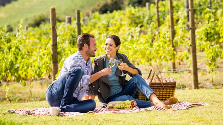 land programs in new zealand, vineyards