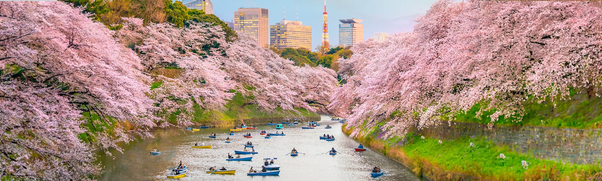 Oceania Cruises to Tokyo, Japan